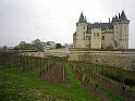 Saumur 46